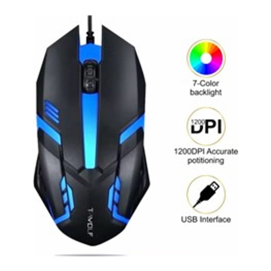 Mouse V1